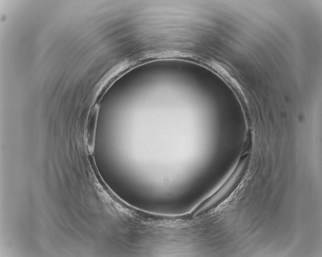 X0000059101189200510211625