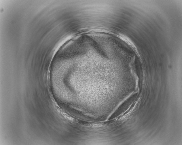 X0000059101190200510211625