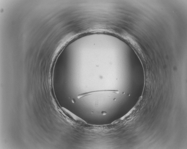 X0000059101191200510211624