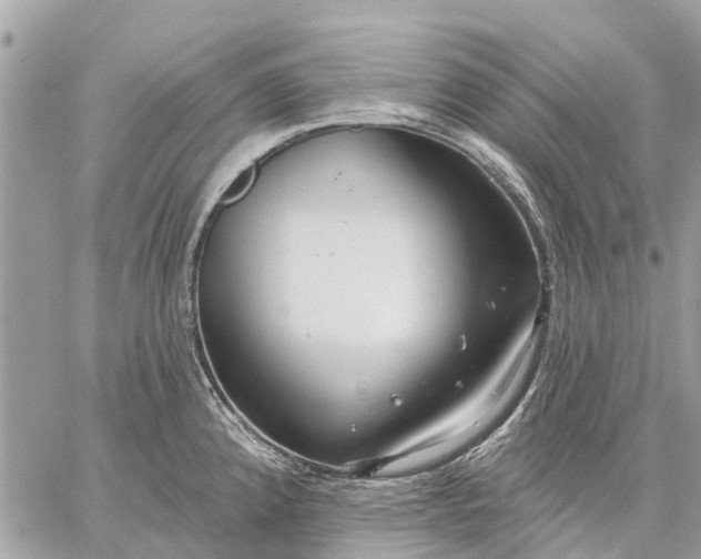 X0000059101192200510211624