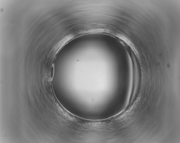 X0000059101193200510211624