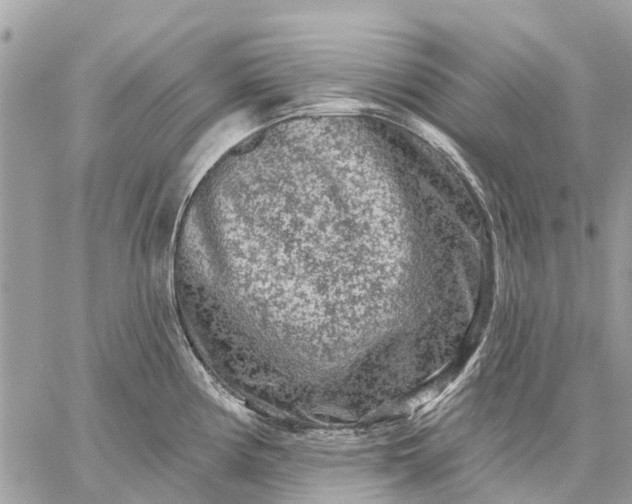 X0000059101194200510211624