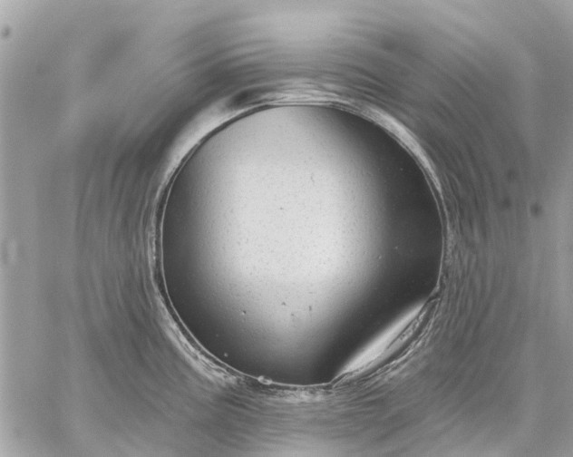 X0000059101195200510211624