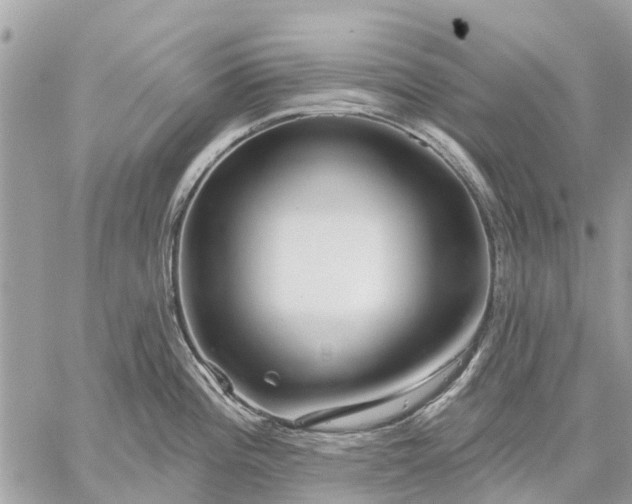 X0000059101196200510211624