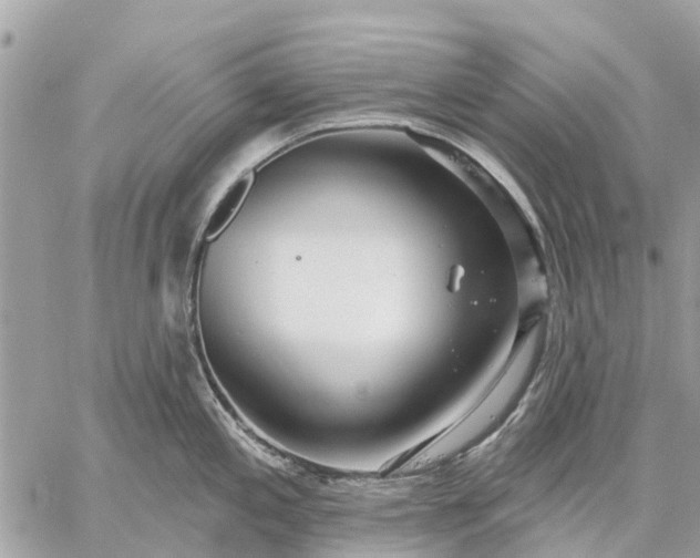 X0000059101197200510211624