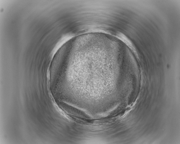 X0000059101198200510211624