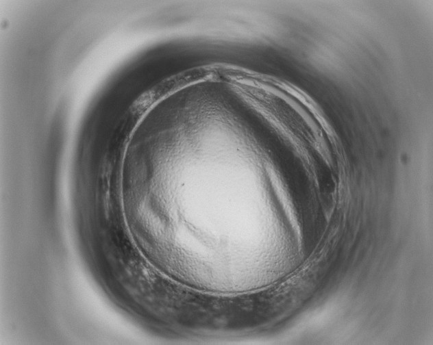 X0000059101199200510211624