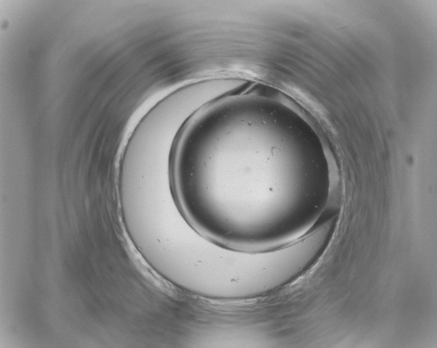 X0000059101200200510211624