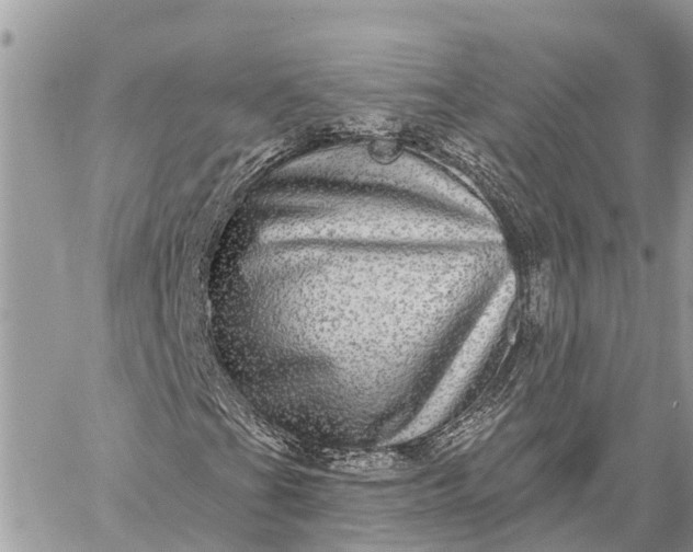 X0000059101201200510211624