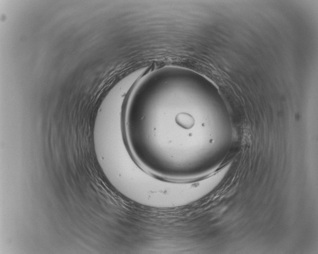 X0000059101202200510211624