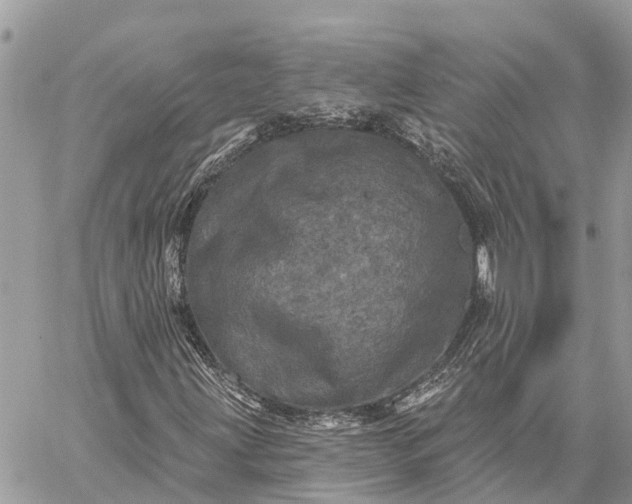 X0000059101203200510211624