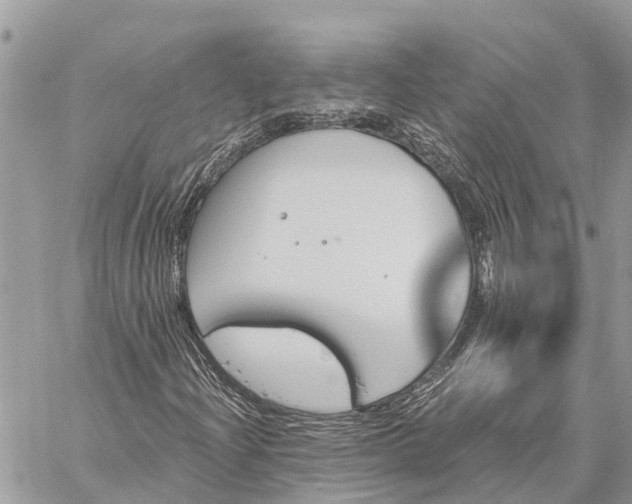 X0000059101204200510211624