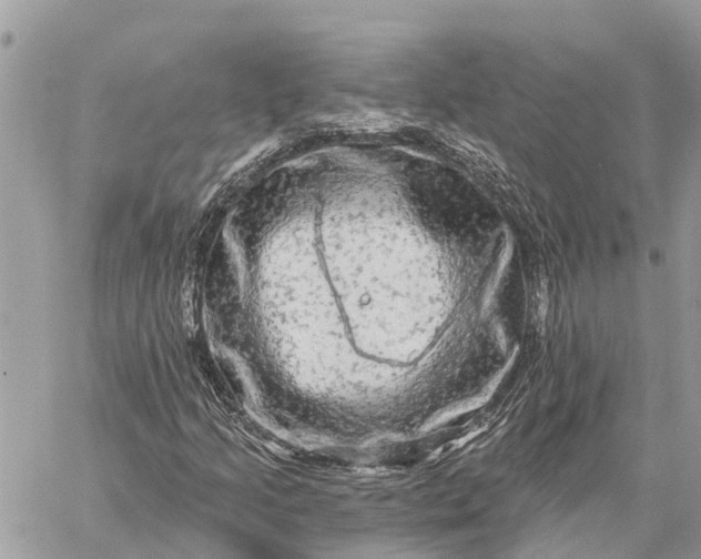 X0000059101205200510211624