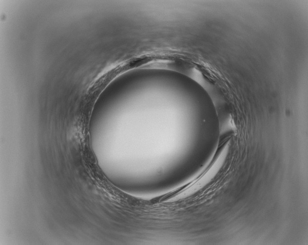 X0000059101206200510211624