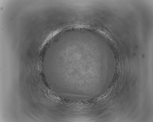 X0000059101207200510211624