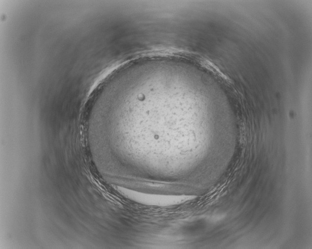 X0000059101208200510211624