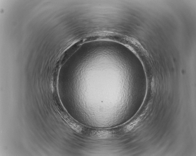 X0000059101209200510211624