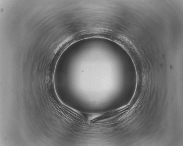 X0000059101210200510211624