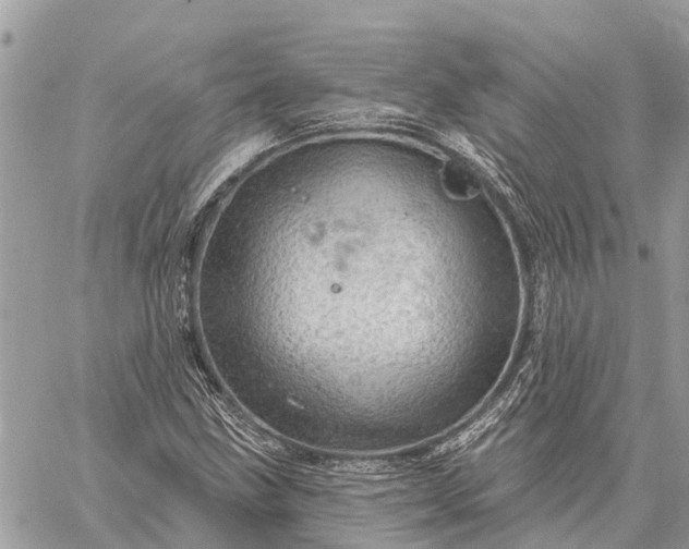 X0000059101211200510211624