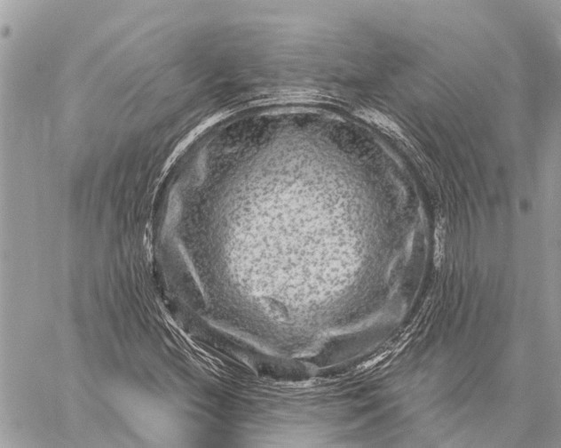 X0000059101212200510211624