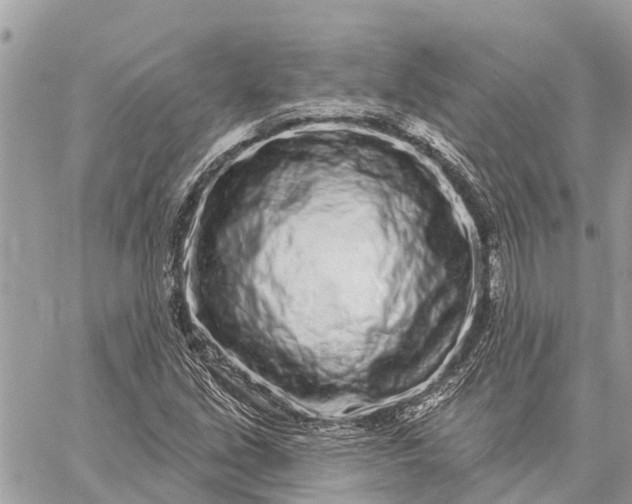 X0000059101213200510211624