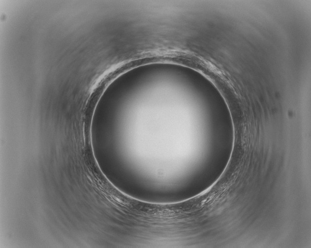 X0000059101214200510211624