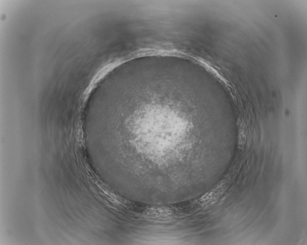 X0000059101215200510211624