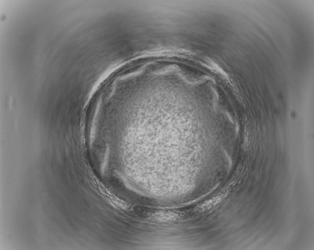 X0000059101216200510211624