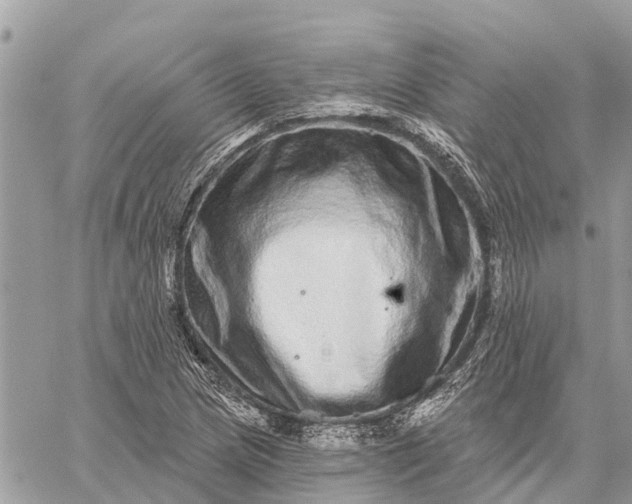 X0000059101217200510211624