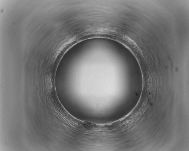 X0000059101218200510211624