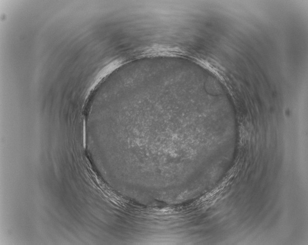 X0000059101219200510211624