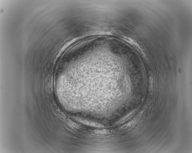 X0000059101220200510211624