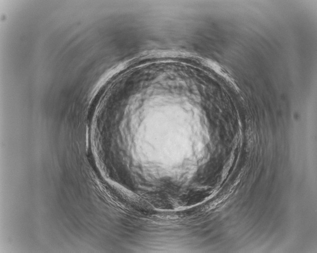 X0000059101221200510211624