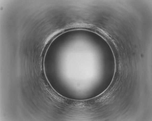 X0000059101222200510211624