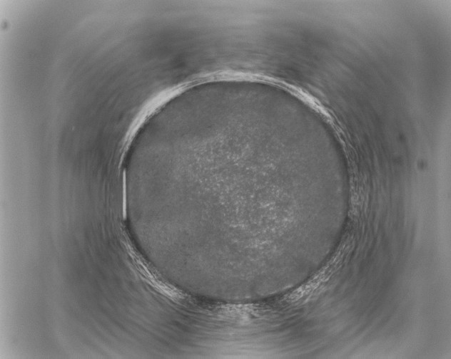 X0000059101223200510211624