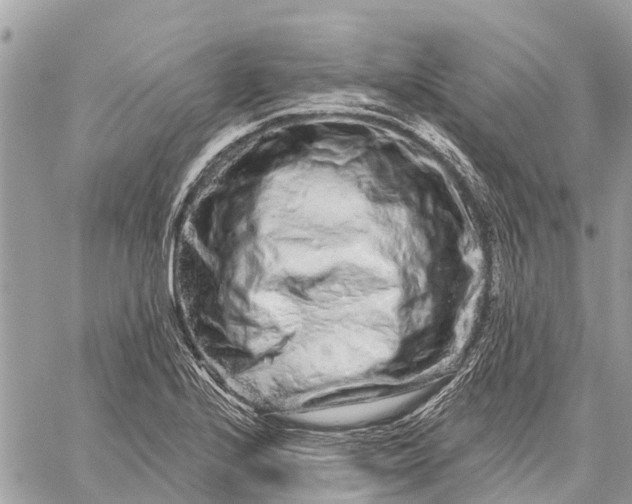 X0000059101224200510211624