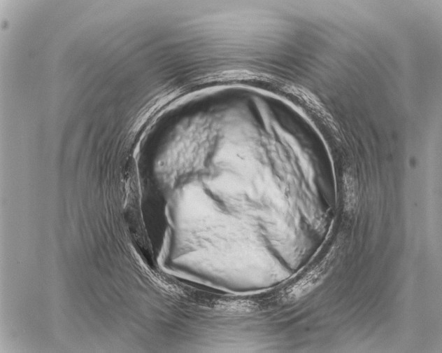 X0000059101225200510211624