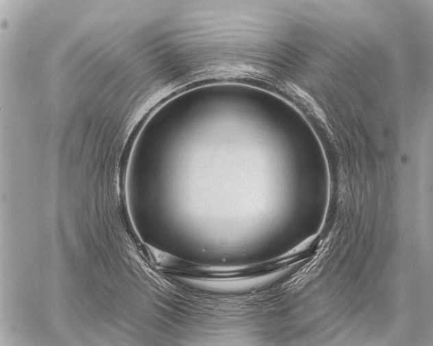 X0000059101226200510211624