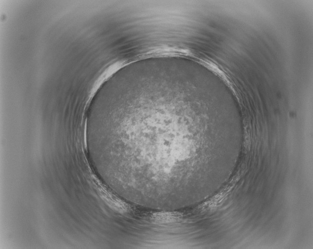 X0000059101227200510211624