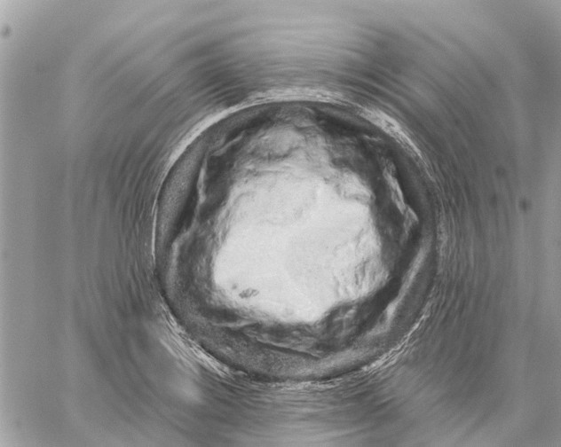 X0000059101228200510211624