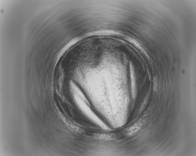 X0000059101229200510211624