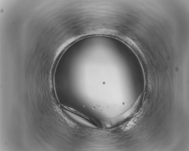 X0000059101230200510211624