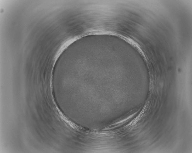 X0000059101231200510211624