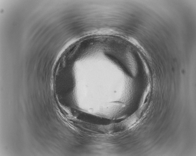 X0000059101232200510211624