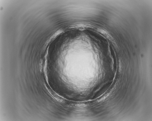 X0000059101233200510211624