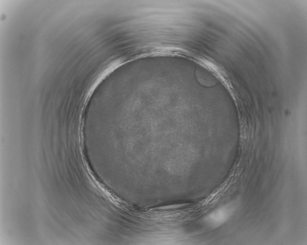 X0000059101235200510211624