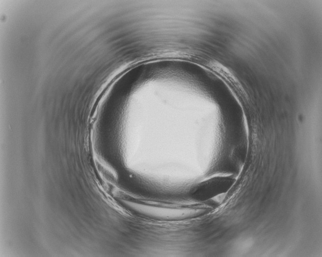 X0000059101236200510211624