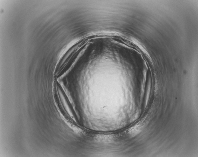 X0000059101237200510211624