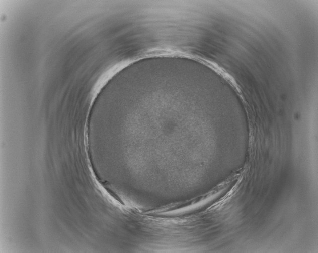 X0000059101239200510211624