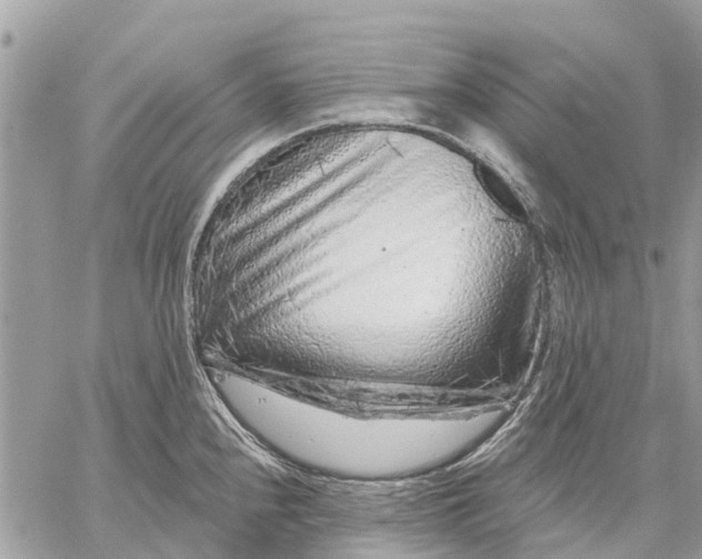 X0000059101240200510211624